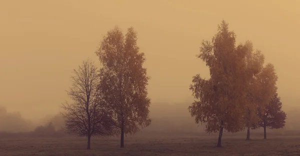 秋天的风景 — 图库照片