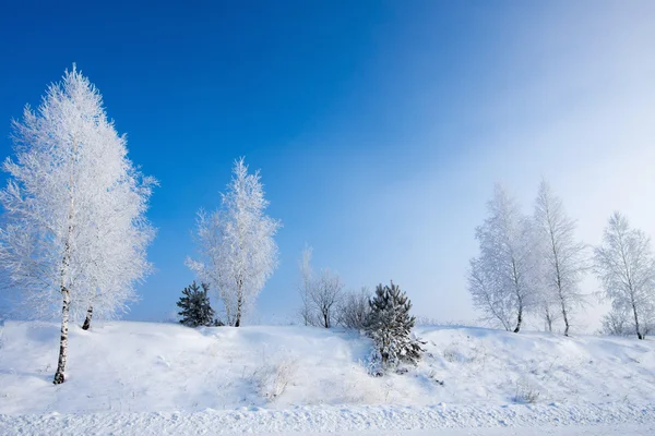 Paisagem inverno — Fotografia de Stock