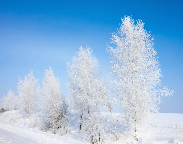 Paesaggio invernale — Foto Stock