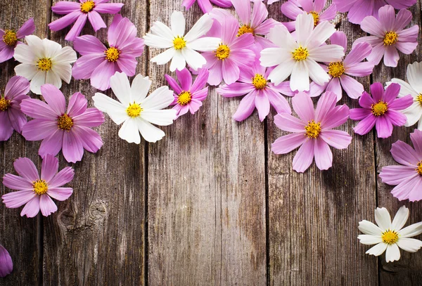 Λουλούδια σε ξύλινο φόντο — Φωτογραφία Αρχείου