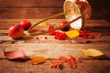 Sonbahar sakin bir hayat