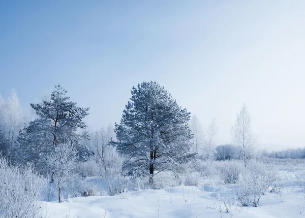 Paesaggio invernale — Foto Stock