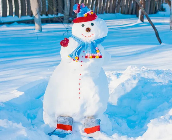 Χιονάνθρωπος στον κήπο — Φωτογραφία Αρχείου