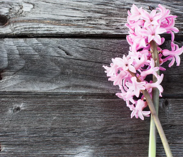 Beautiful spring flowers on wooden background — Stock Photo, Image