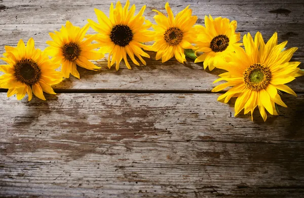 Sunflowers on wooden background — Stock Photo, Image