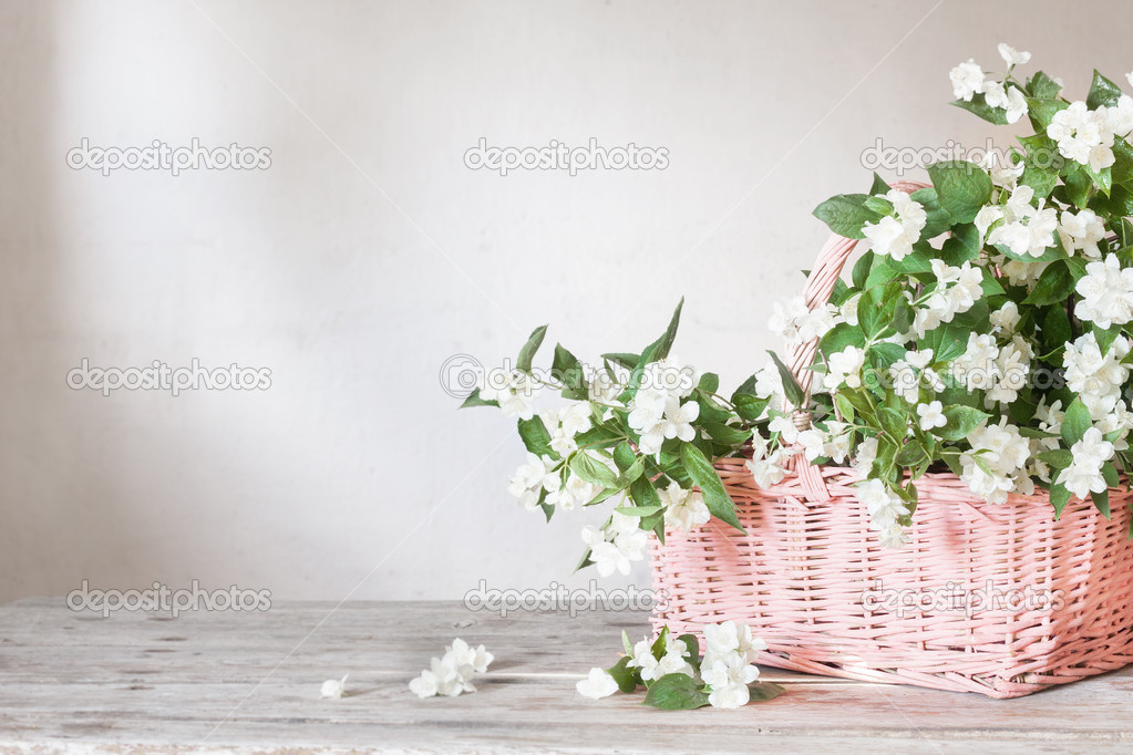 Jasmine in basket on white background