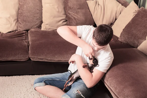 Adolescente com cão em casa — Fotografia de Stock