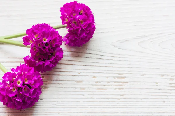 Hermosas flores de primavera sobre fondo de madera — Foto de Stock