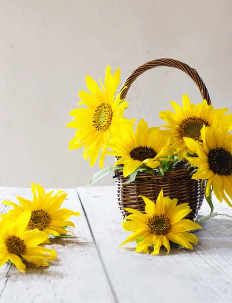 Sonnenblumen auf weißem Hintergrund — Stockfoto