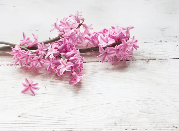 Vacker våren blommor på trä bakgrund — Stockfoto