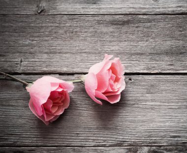 Gül ahşap arka plan üzerinde