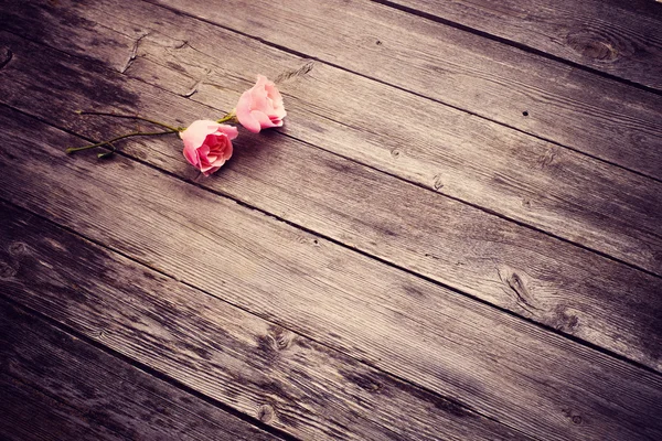 Rosas em fundo de madeira — Fotografia de Stock