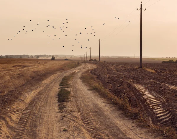 Landelijk landschap — Stockfoto