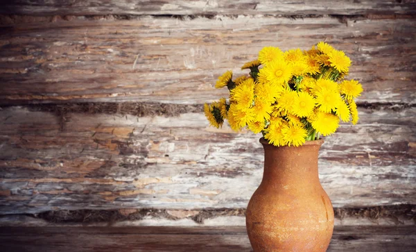 Paardenbloemen op houten achtergrond — Stockfoto