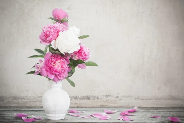 Kwiaty na tło białe tło — Zdjęcie stockowe