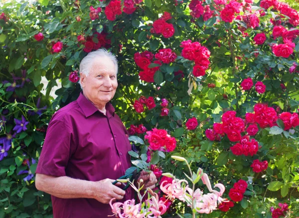 Homens velhos com flores no jardim — Fotografia de Stock