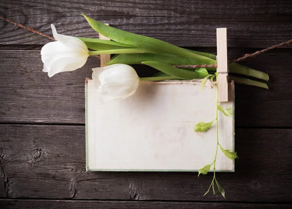 Papier dołączyć do liny z ubrania szpilki i tulipany na drewniane bac — Zdjęcie stockowe