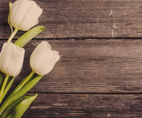 Tulipanes sobre fondo de madera —  Fotos de Stock