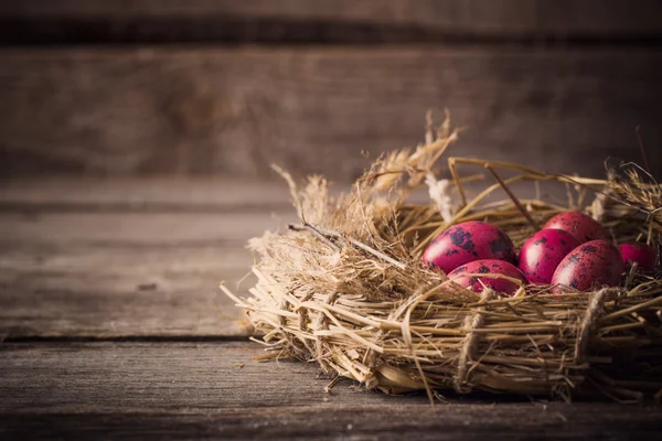 Nido di uova di Pasqua su sfondo rustico in legno — Foto Stock