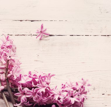 Tahta arka planda güzel bahar çiçekleri