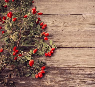 Ahşap Arkaplan 'ın üzerinde yapraklar olan Dogrose