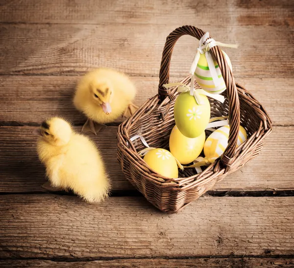 Goslings with easter eggs on wooden background — Stock Photo, Image