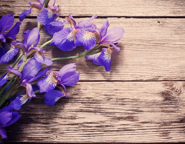 Iris sobre fondo de madera —  Fotos de Stock