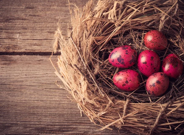 Easter egg in nest on rustic wooden background — Stock Photo, Image