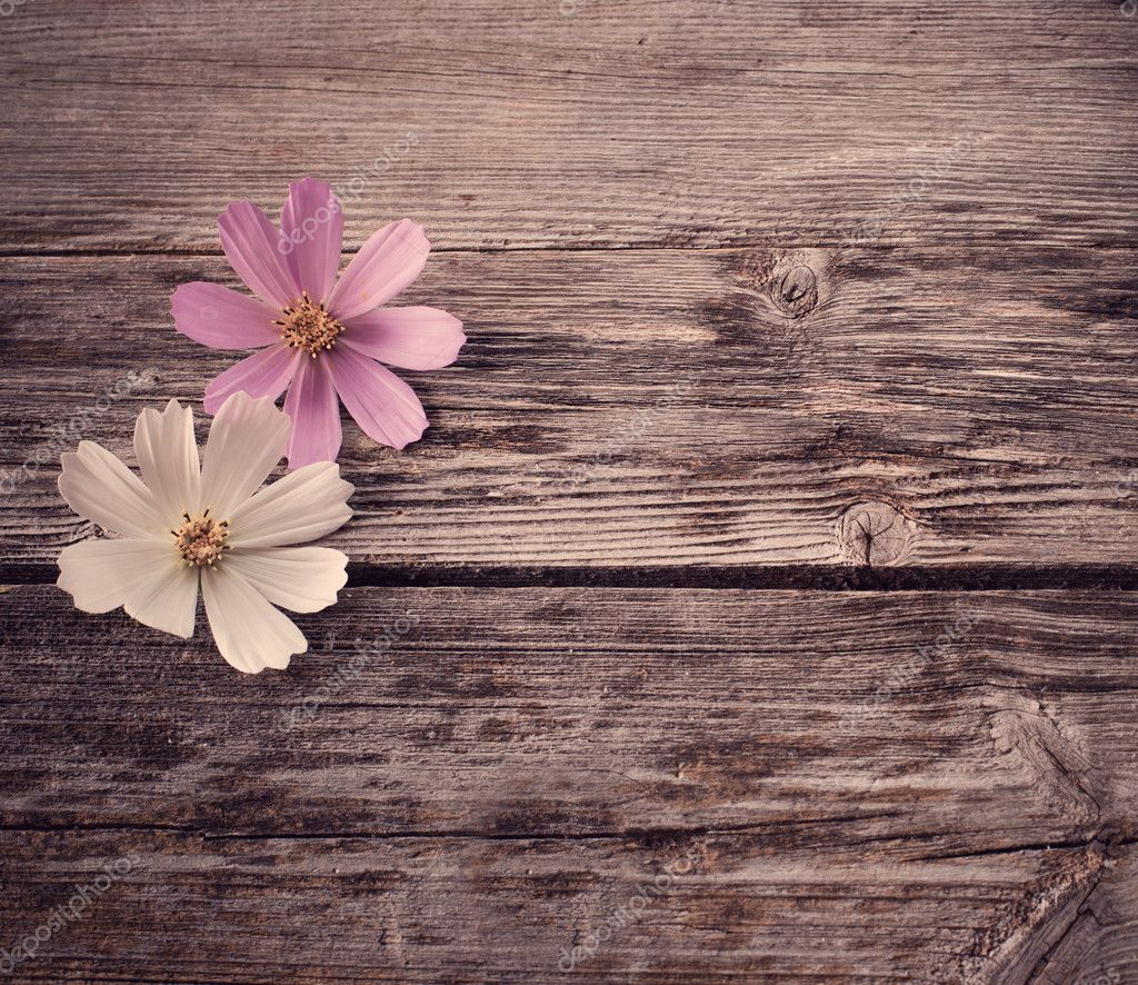 Gỗ và hoa có thể kết hợp tuyệt vời với nhau, tạo nên một không gian sống động và tràn đầy năng lượng. Hãy xem hình ảnh này để cảm nhận được sự tươi trẻ và tinh tế của những bông hoa trên nền gỗ.