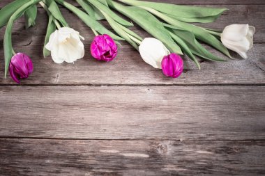 Ahşap arka planda laleler