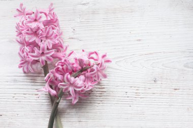 Tahta arka planda güzel bahar çiçekleri