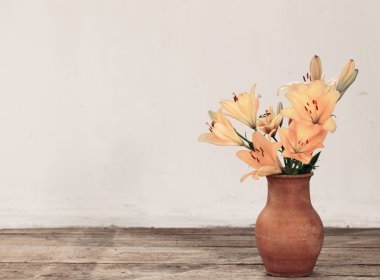  arka plan eski duvarda Lily