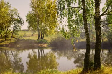 Güzel yaz manzarası