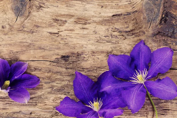 Flores violetas sobre fondo de madera —  Fotos de Stock