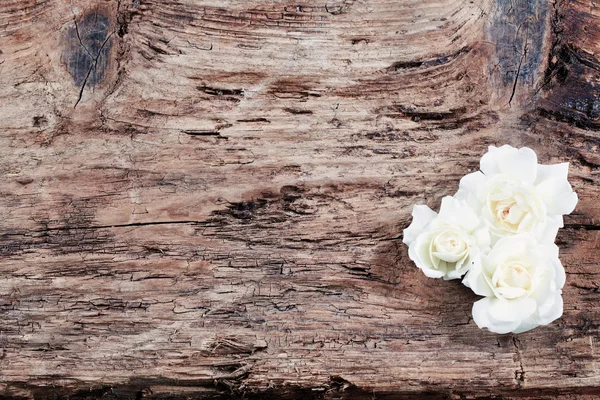 木制背景上的玫瑰 — 图库照片