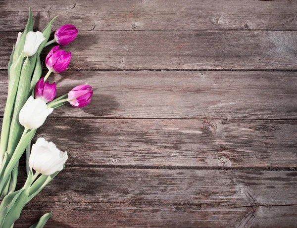 Tulipanes sobre fondo de madera — Foto de Stock