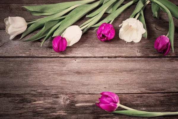 Tulipány na dřevěném pozadí — Stock fotografie