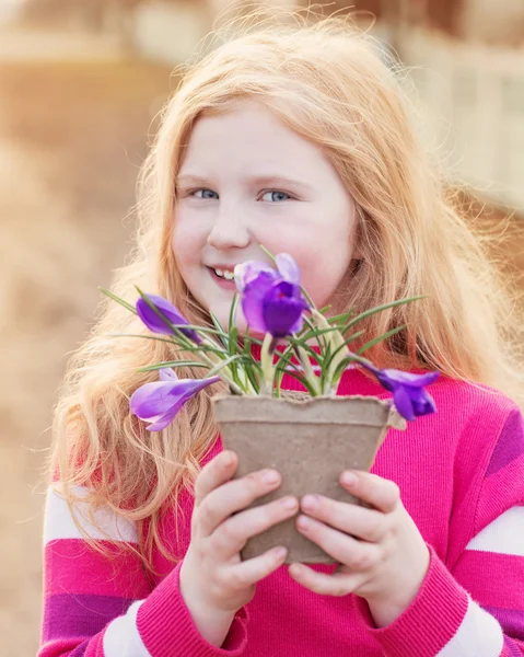 快乐的女孩，在花盆里举行的番红花 — 图库照片