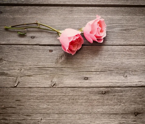 Τριαντάφυλλα σε ξύλινα φόντο — Φωτογραφία Αρχείου