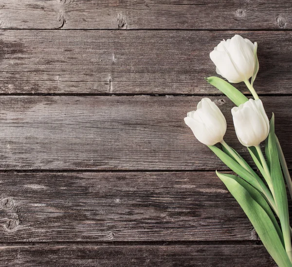 Тюльпаны на деревянном фоне — стоковое фото