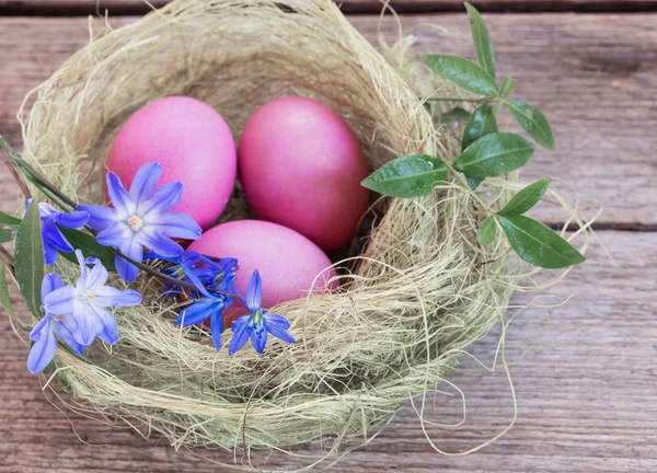 Nido di uova di Pasqua con fiori su sfondo rustico in legno — Foto Stock