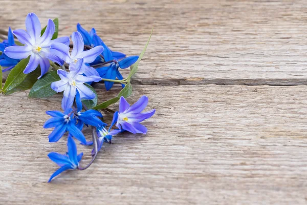 Snowdrops on wooden background — Stock Photo, Image