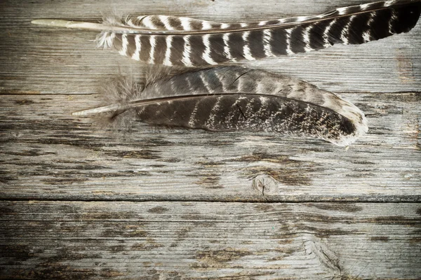 Piuma sul tavolo di legno — Foto Stock