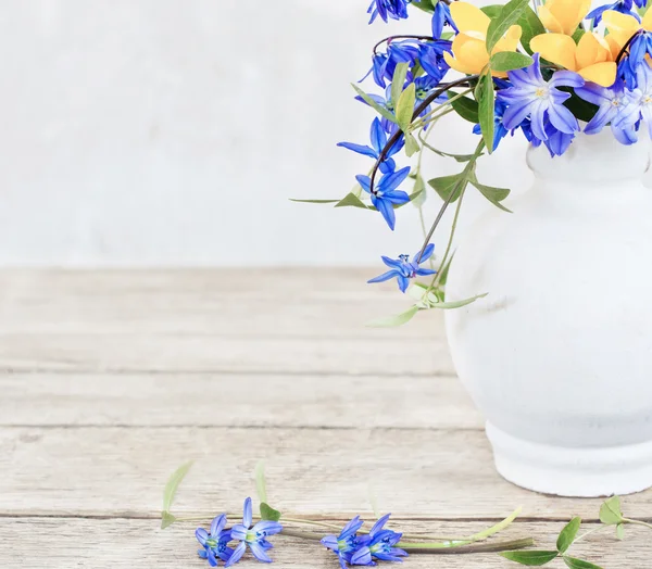 Jarní květiny na bílém pozadí — Stock fotografie
