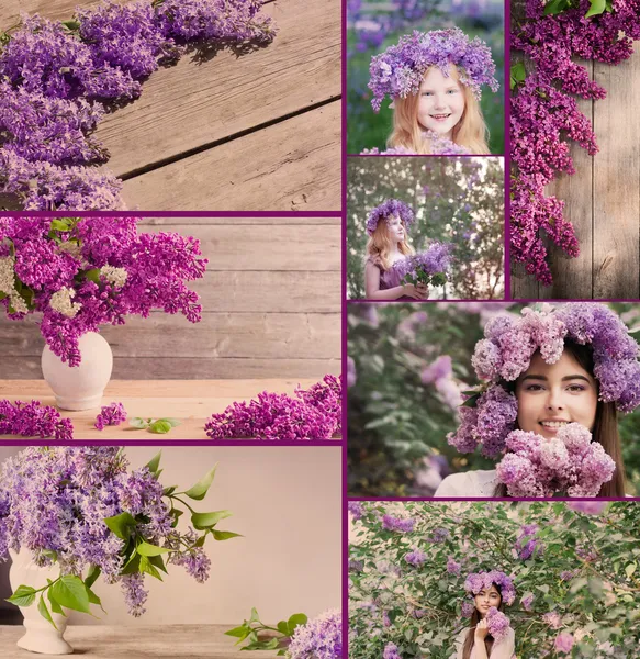 Collage mit schönem Flieder — Stockfoto