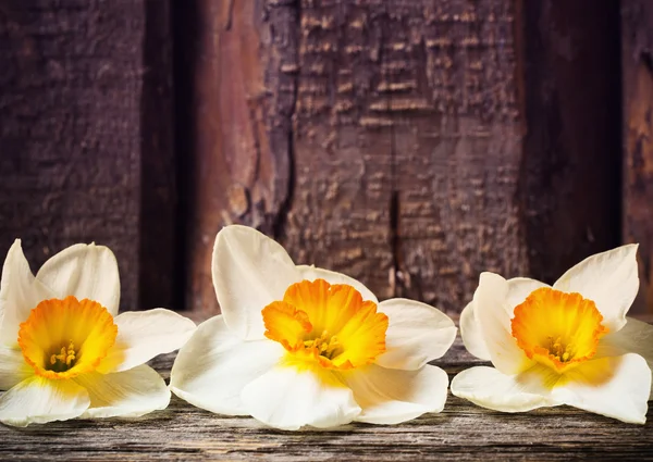 Spring flowers on wooden background — Stock Photo, Image