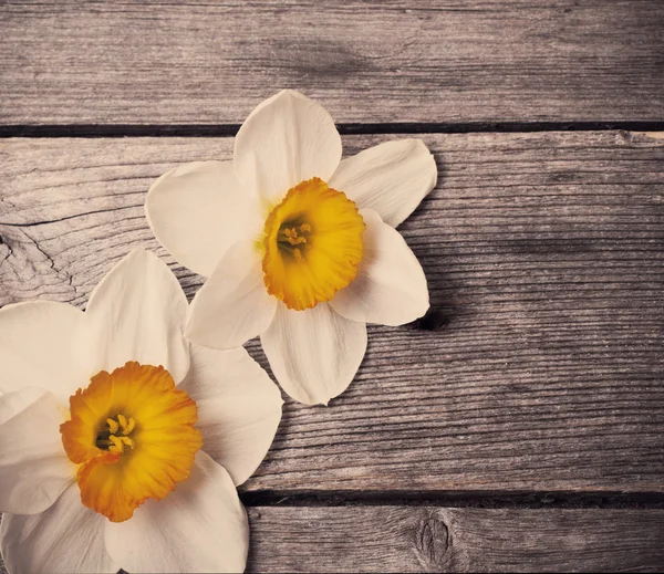 Flores de primavera sobre fondo de madera — Foto de Stock