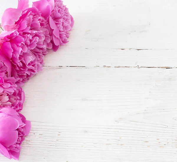 Flores sobre fondo de madera blanco — Foto de Stock