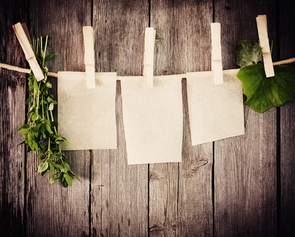 Medicine herbs and paper attach to rope with clothes pins on woo — Stock Photo, Image