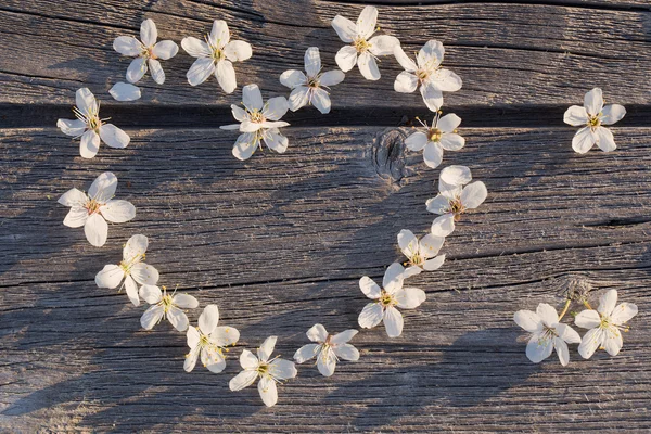 Flores blancas en forma de corazón — Foto de Stock